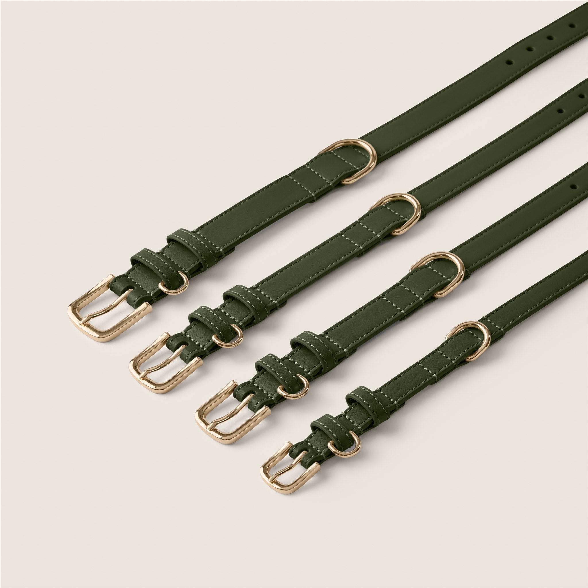 Tails & Bloom easy clean olive green adjustable collar for show cocker spaniel & schnauzer padded