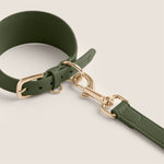Tails & Bloom easy clean olive green sighthound collar for lurcher & italian greyhound - luxury