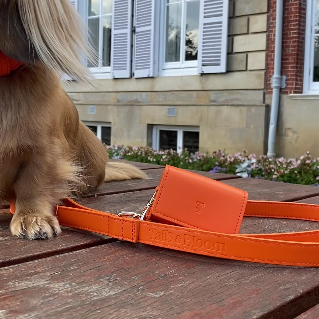Orange Poop Bag Dispenser Tails & Bloom Stylish and Convenient Pet Waste Solution Tails&Bloom