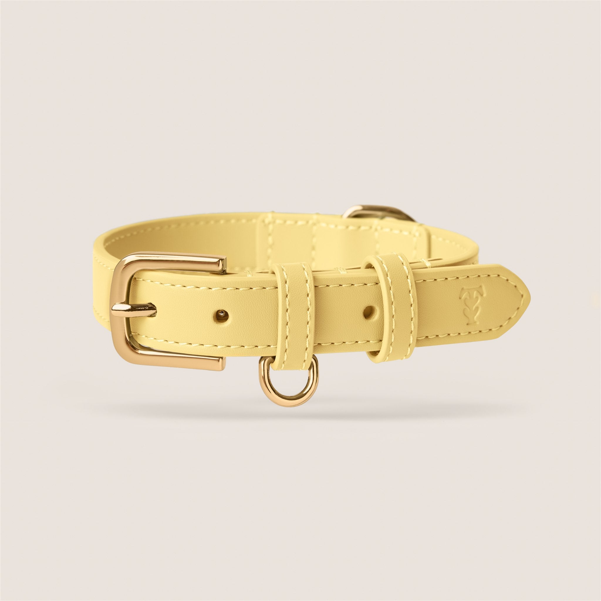 Tails & Bloom primrose pastel yellow soft padded vegan leather adjustable dog collar for dachshund & cavapoo