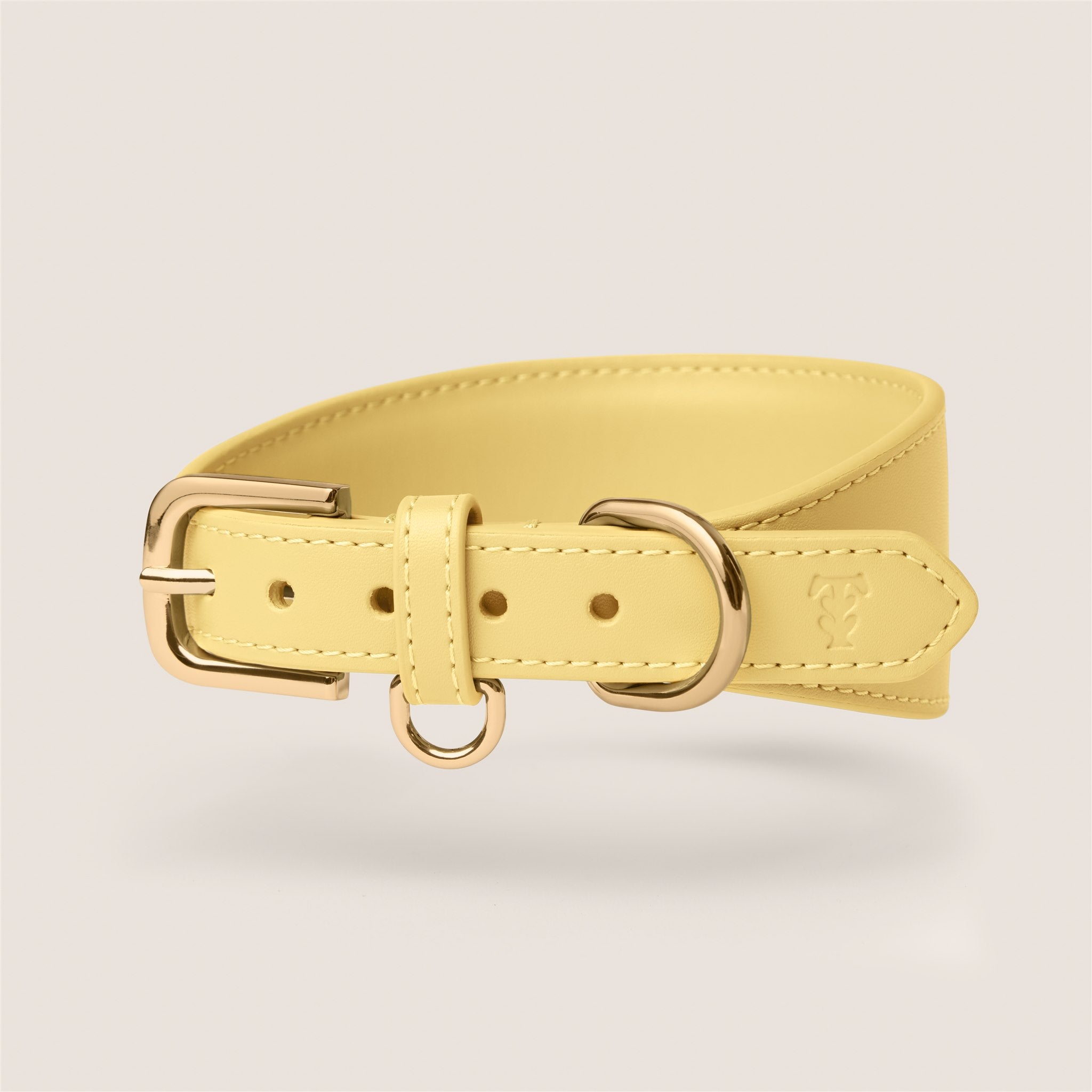 Tails & Bloom primrose pastel yellow soft padded vegan leather sighthound collar for whippet & lurcher