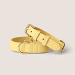 Pastel yellow primrose padded collar gentle on skin for westie & shih tzu by Tails & Bloom