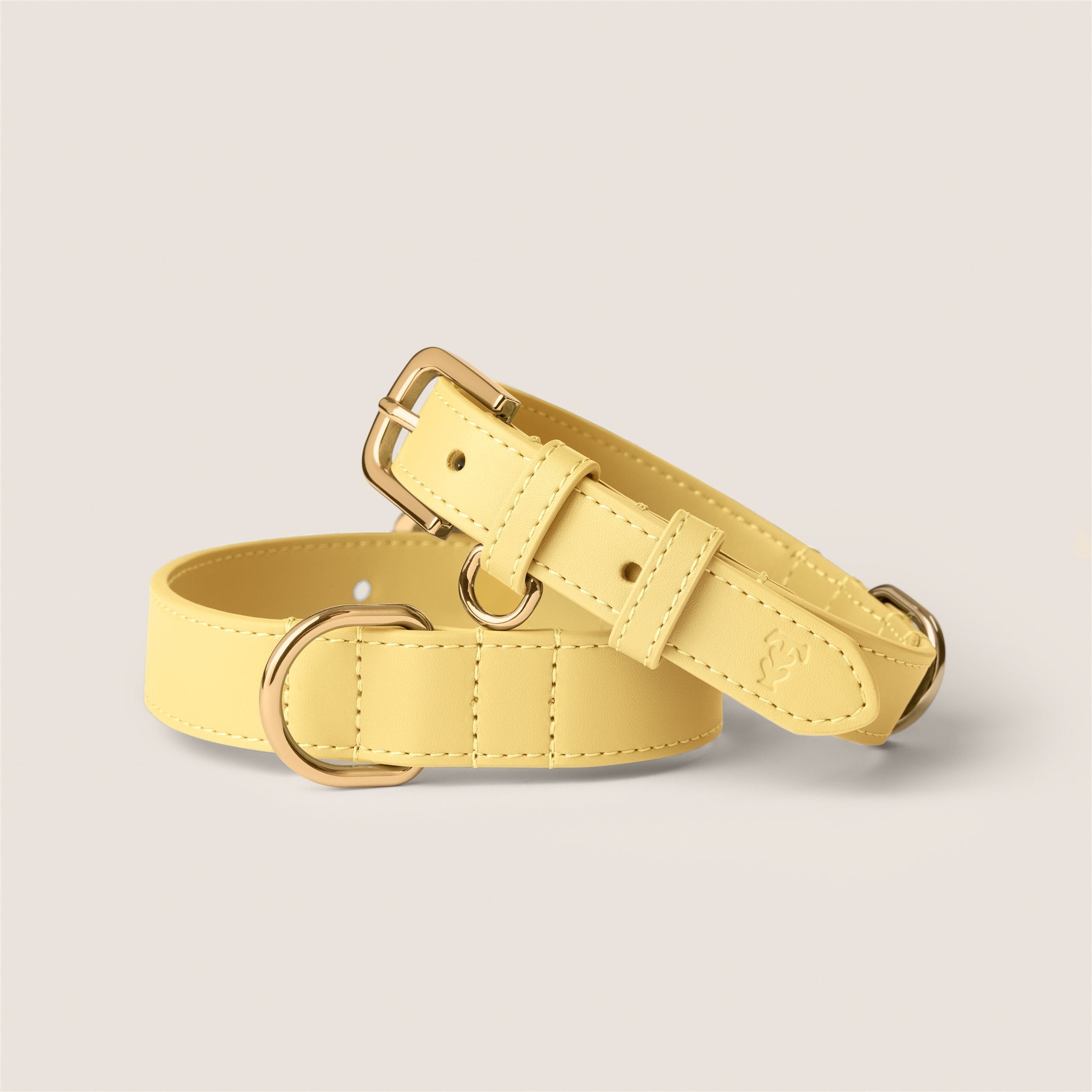 Pastel yellow primrose padded collar gentle on skin for westie & shih tzu by Tails & Bloom