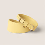Pastel yellow primrose padded sighthound collar gentle on skin for italian greyhound & whippet by Tails & Bloom
