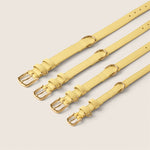 Tails & Bloom primrose pastel yellow soft lining adjustable collar for show cocker spaniel & schnauzer