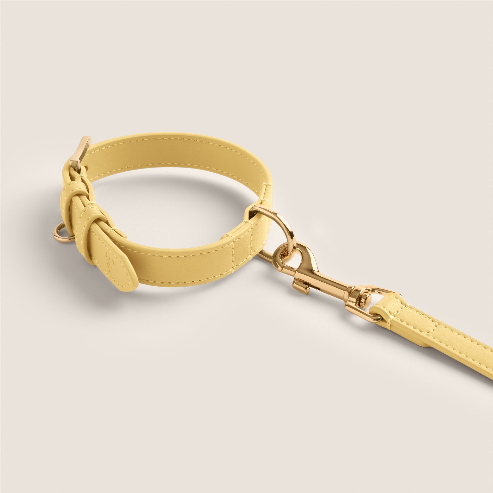 Pastel yellow primrose comfortable fit padded vegan leather collar for maltese & miniature poodle by Tails & Bloom
