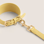 Tails & Bloom primrose pastel yellow comfortable fit soft lining sighthound collar for lurcher & italian greyhound