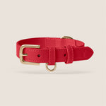 Tails & Bloom rouge red soft padded vegan leather adjustable dog collar for dachshund & cavapoo