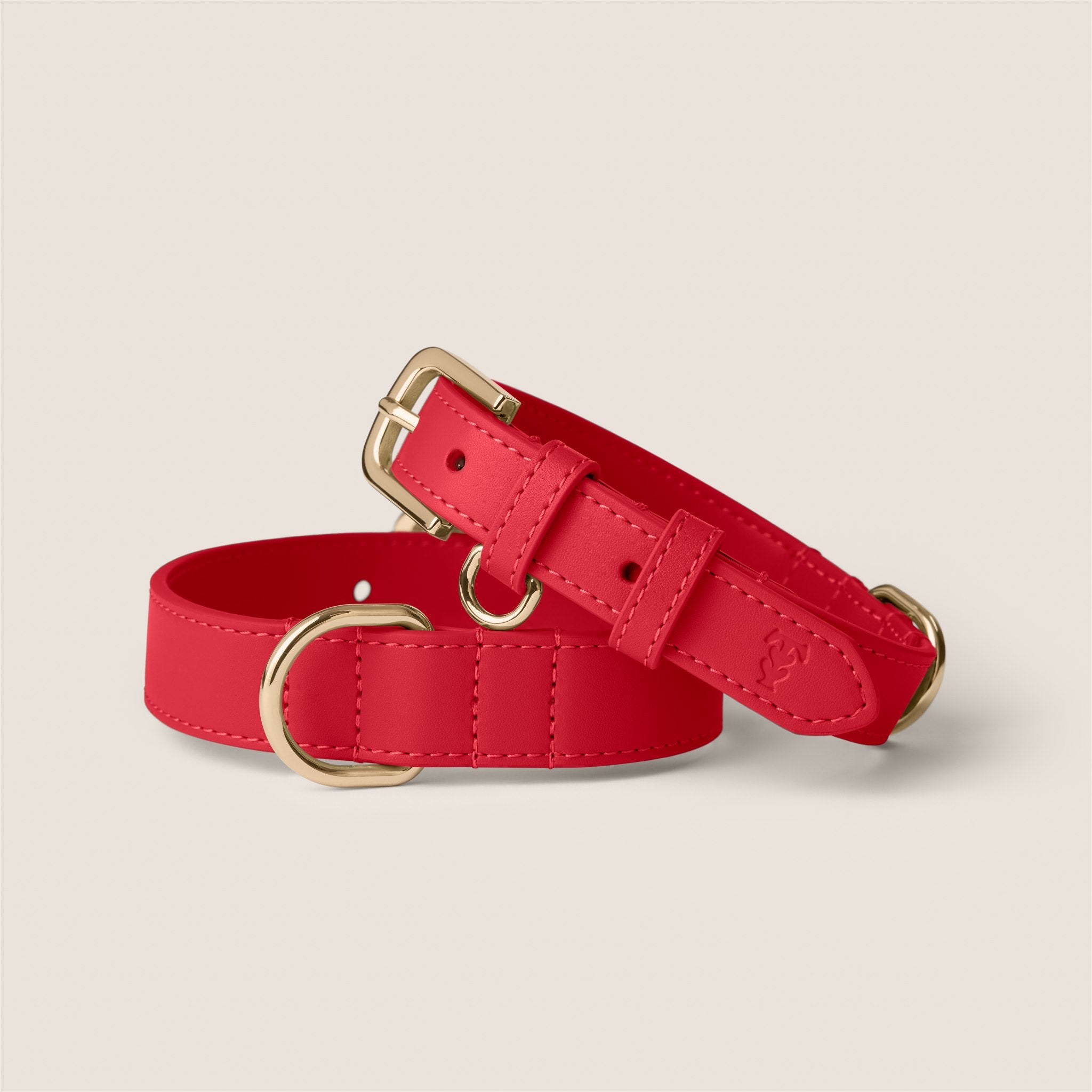 Red rouge padded collar gentle on skin for westie & shih tzu by Tails & Bloom