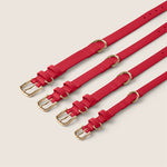 Tails & Bloom rouge red soft lining adjustable collar for show cocker spaniel & schnauzer