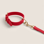 Deep red rouge comfortable fit padded vegan leather collar for maltese & miniature poodle by Tails & Bloom