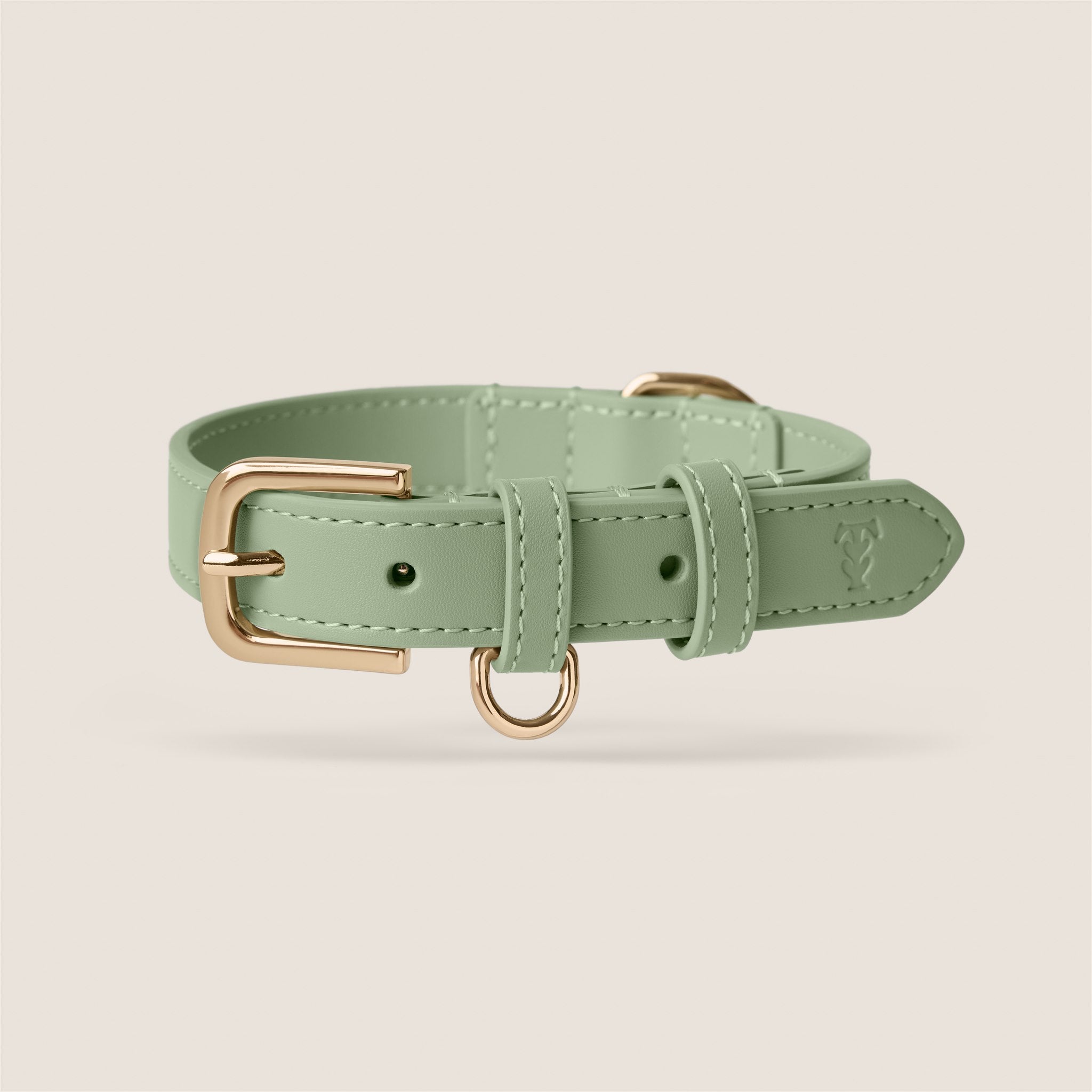 Tails & Bloom sage pastel green soft padded vegan leather adjustable dog collar for dachshund & cavapoo