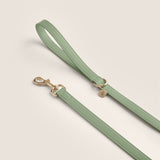 Sage Hound Walk-Wear Set