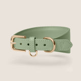 Sage Hound Walk-Wear Set