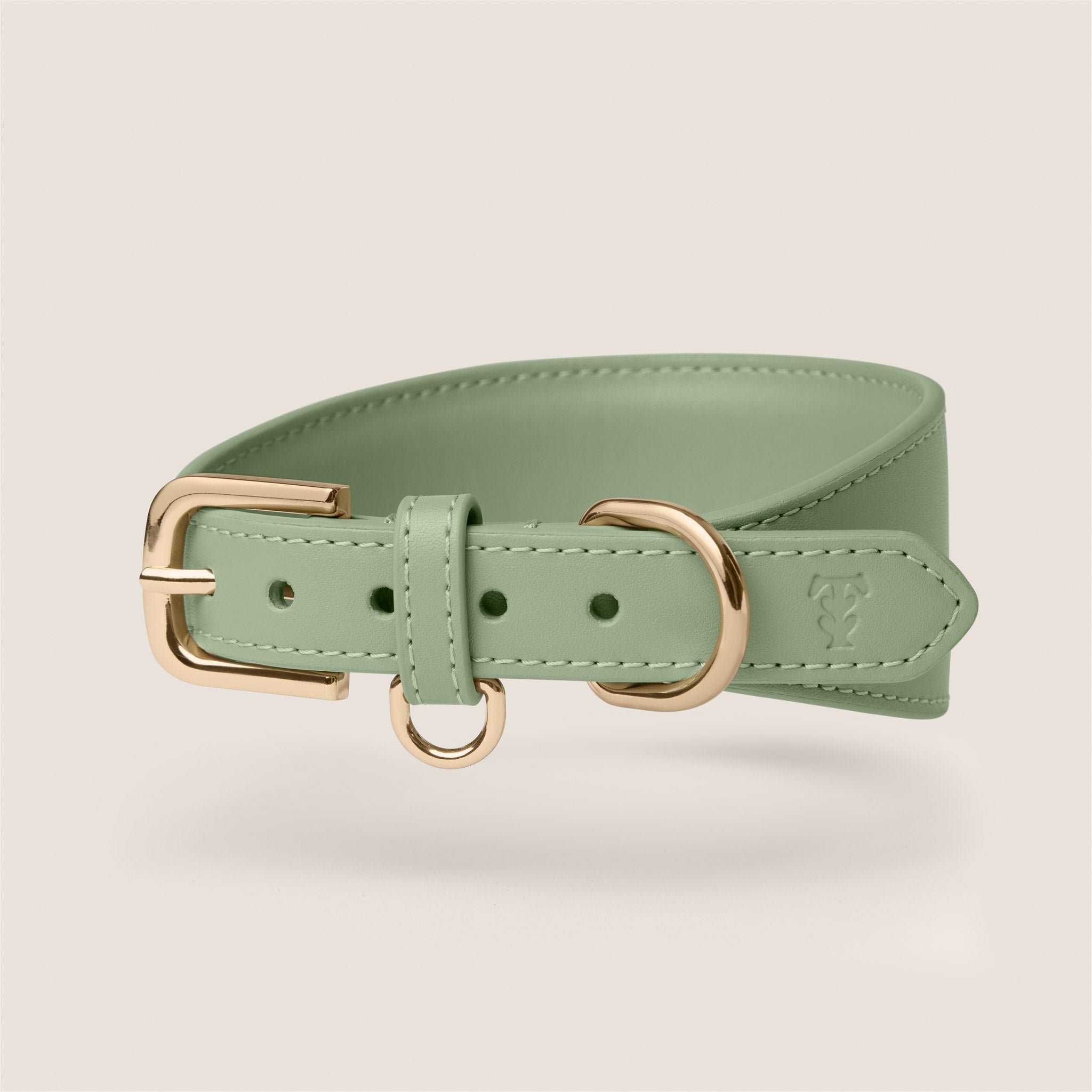 Tails & Bloom sage pastel green soft padded vegan leather sighthound collar for whippet & lurcher