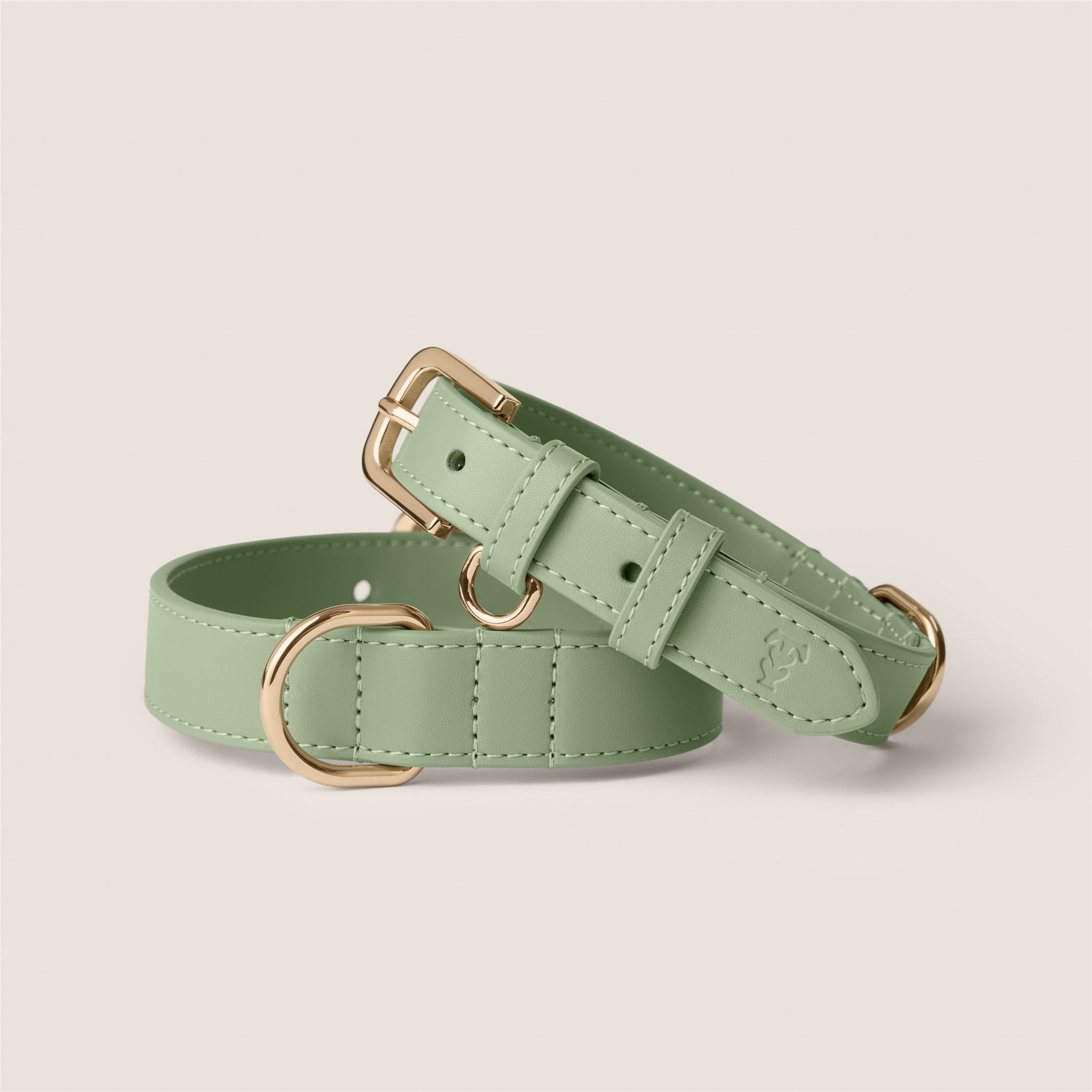 Pastel green sage padded collar gentle on skin for westie & shih tzu by Tails & Bloom