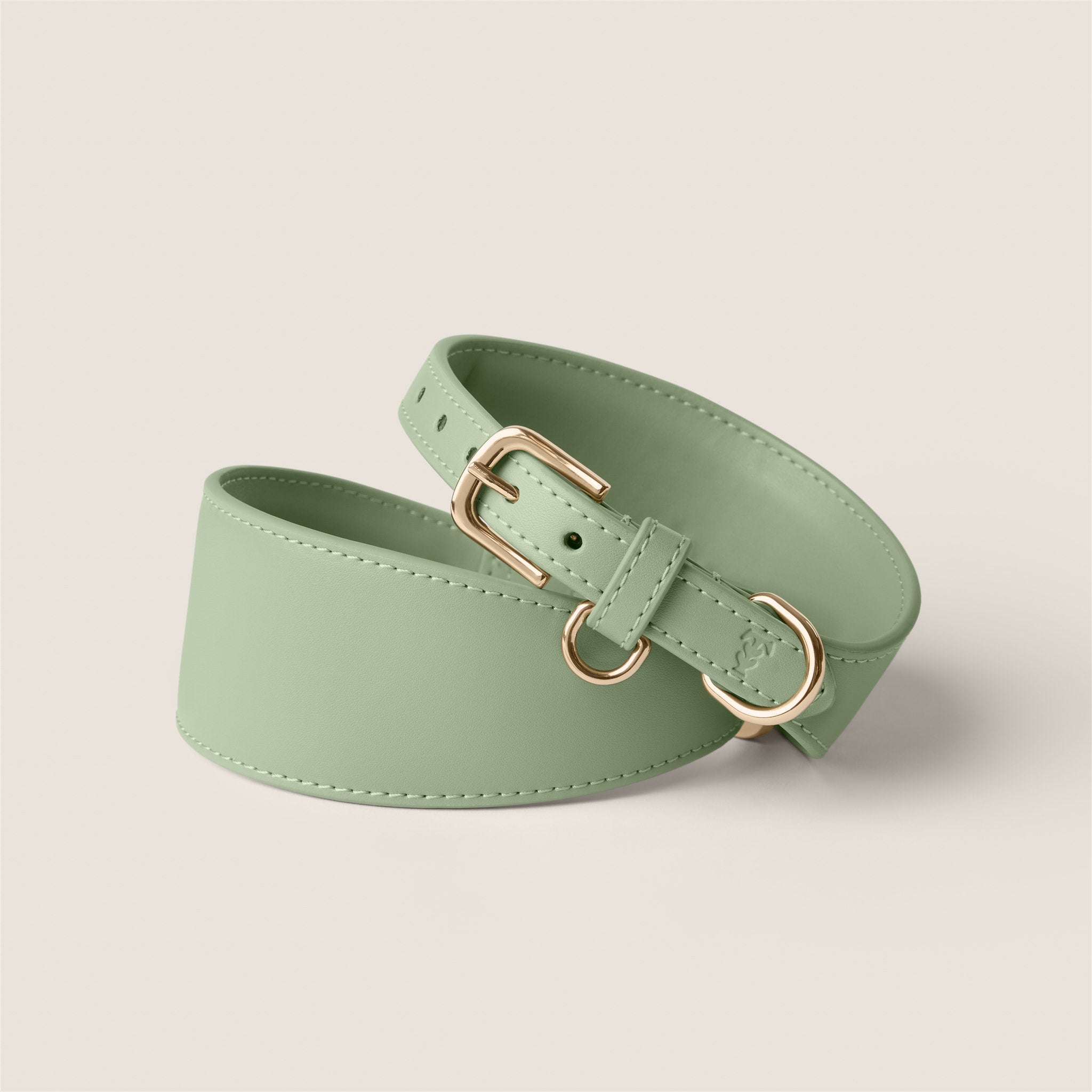 Pastel green sage designer sighthound collar gentle on skin for italian greyhound & whippet by Tails & Bloom