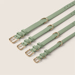 Tails & Bloom sage pastel green soft lining adjustable collar for show cocker spaniel & schnauzer