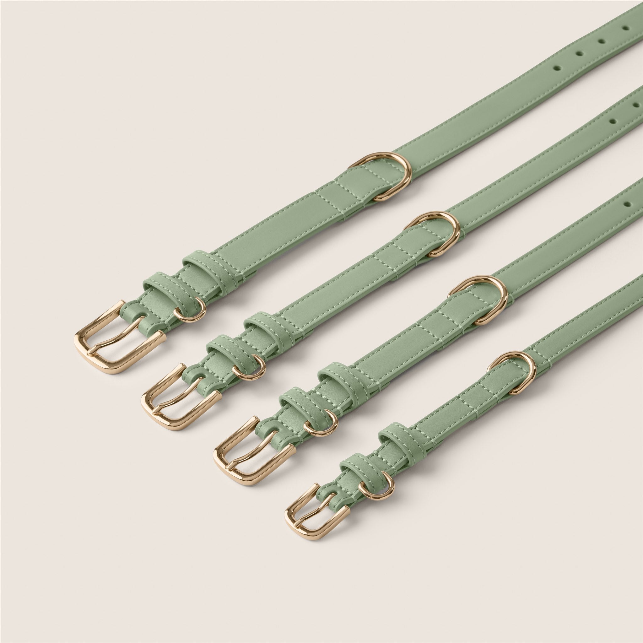 Tails & Bloom sage pastel green soft lining adjustable collar for show cocker spaniel & schnauzer