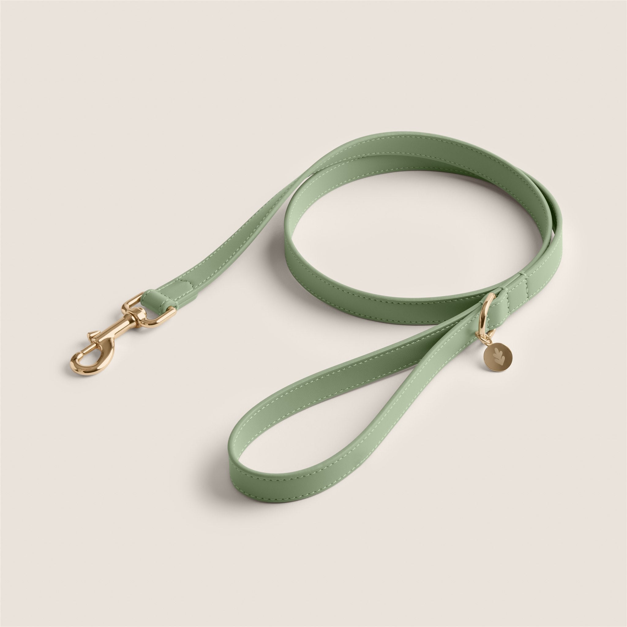 Tails & Bloom sage pastel green new puppy gift vegan leather lead for cairn terrier & yorkshire terrier