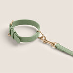 Soft pastel green sage comfortable fit padded vegan leather collar for maltese & miniature poodle by Tails & Bloom