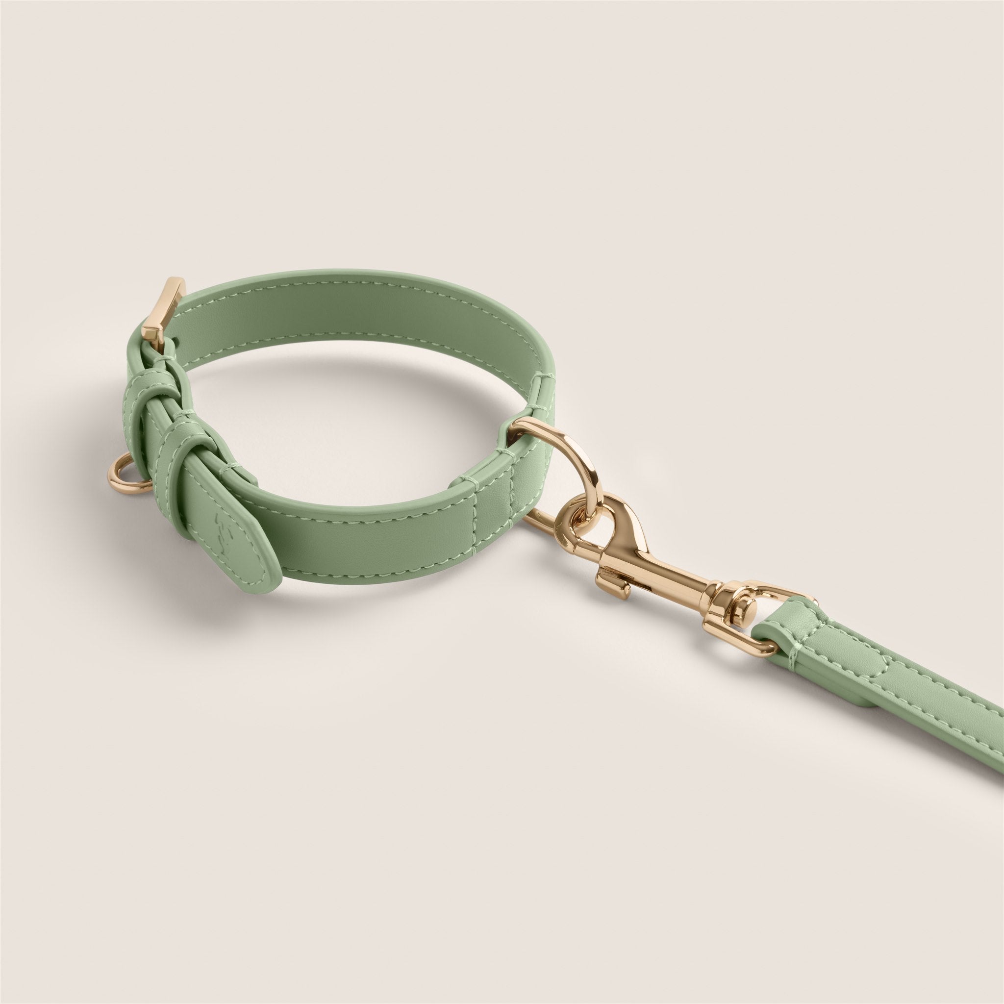 Soft pastel green sage comfortable fit padded vegan leather collar for maltese & miniature poodle by Tails & Bloom