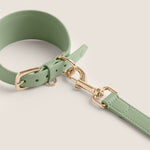 Tails & Bloom sage pastel green comfortable fit soft lining sighthound collar for lurcher & italian greyhound