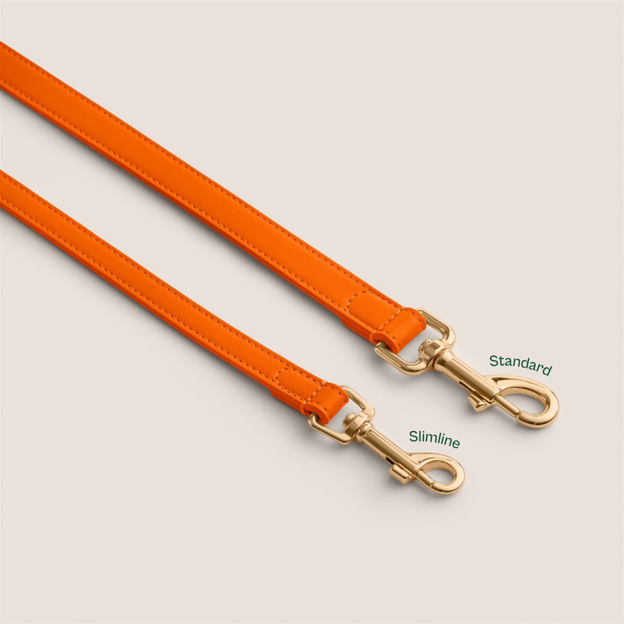 Bold orange tangerine matching collar and lead for miniature dachshund & pomchi - dog mum gift by Tails & Bloom