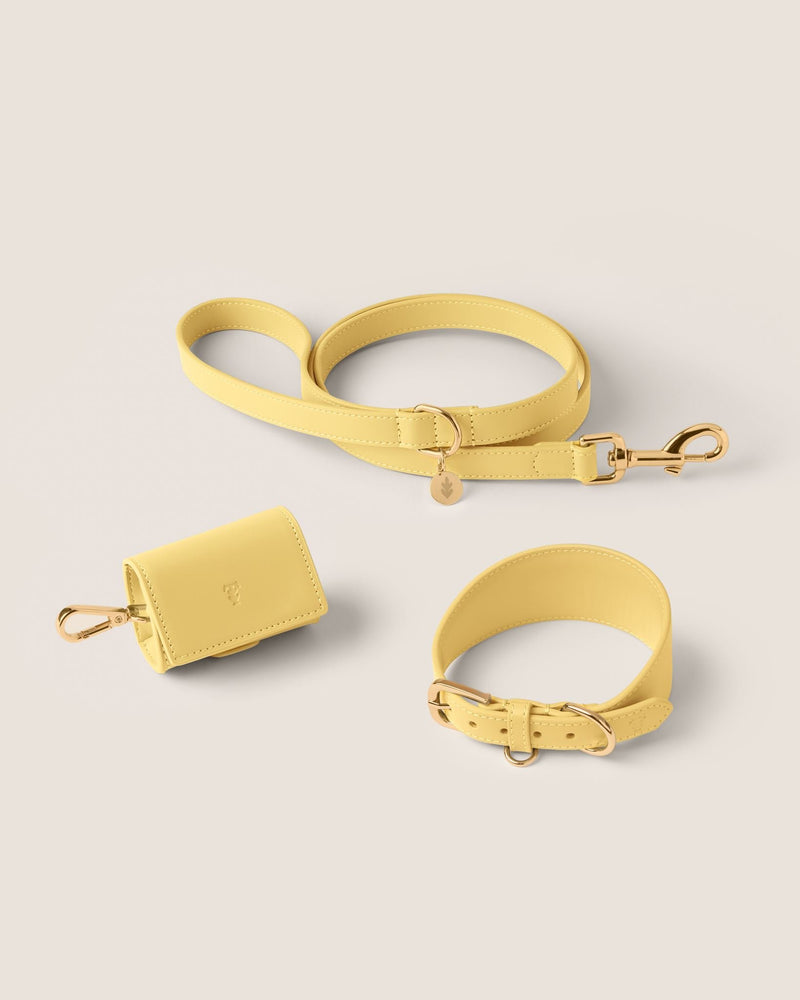 Primrose Hound Walk-Wear Set