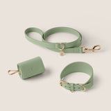 Sage Hound Walk-Wear Set