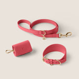 Rose Hound Walk-Wear Set