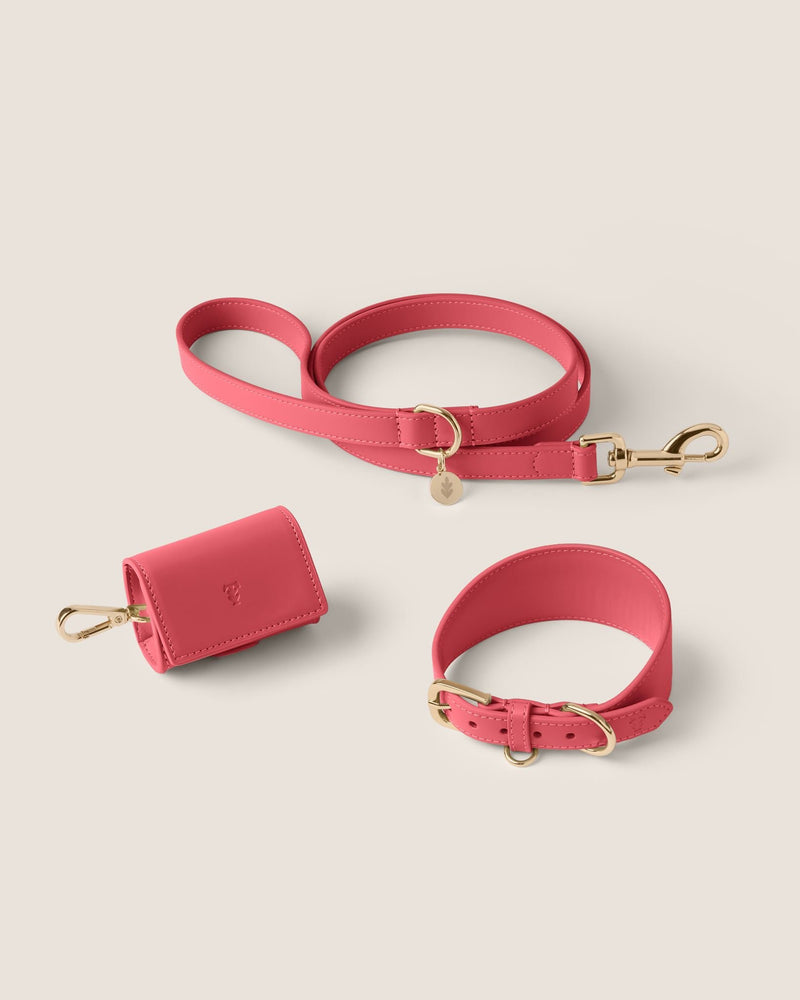 Rose Hound Walk-Wear Set