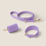 Lavender Hound Walk-Wear Set