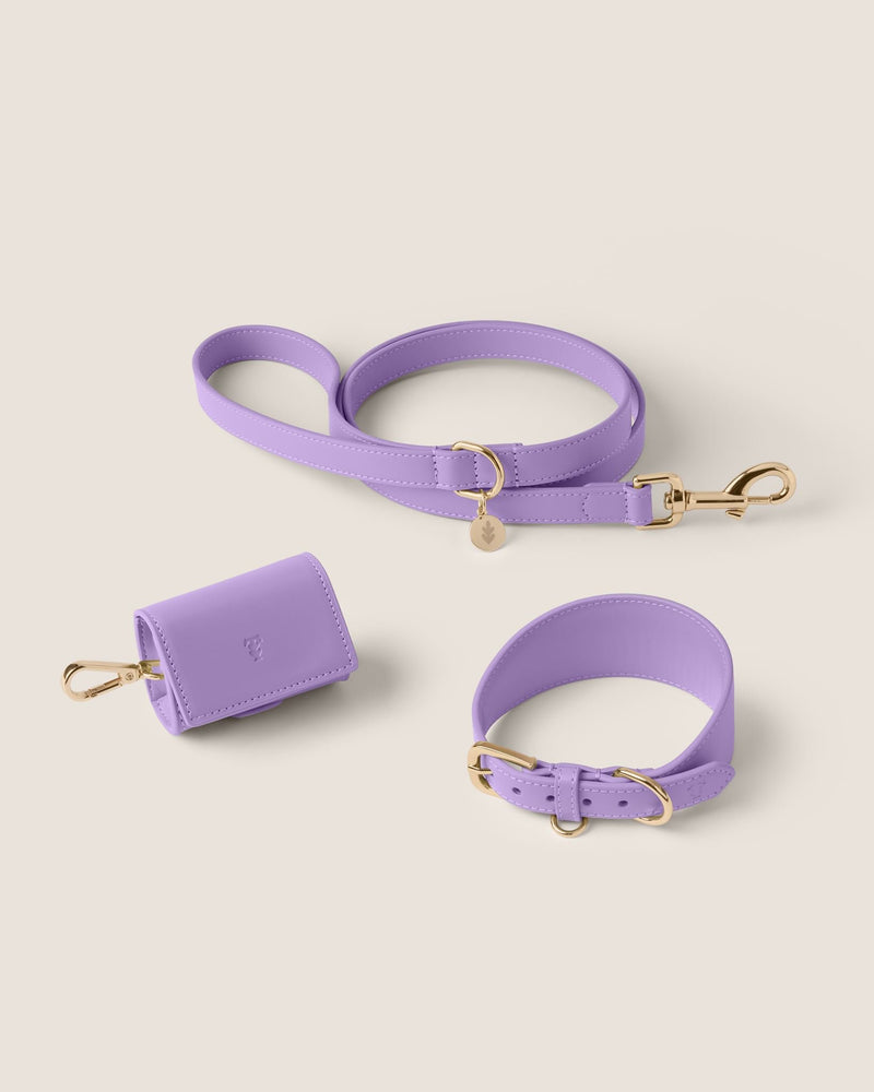 Lavender Hound Walk-Wear Set