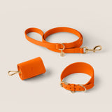 Tangerine Hound Walk-Wear Set