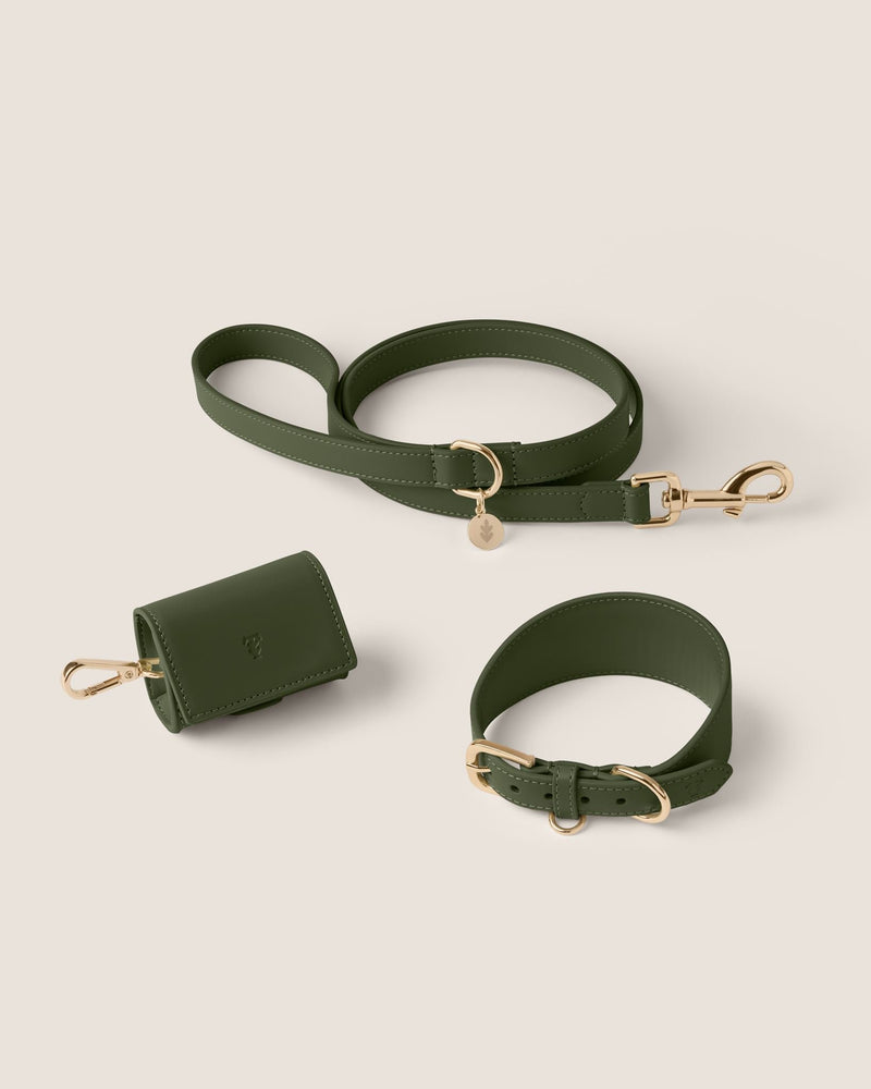 Olive Hound Walk-Wear Set