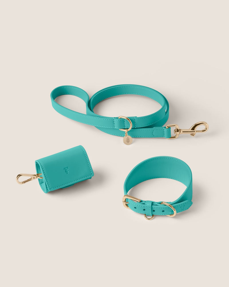Capri Hound Walk-Wear Set